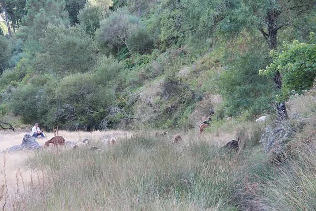 Pai abraçando o seu filho num campo, simbolizando a parábola do Filho Pródigo e o amor de Deus.