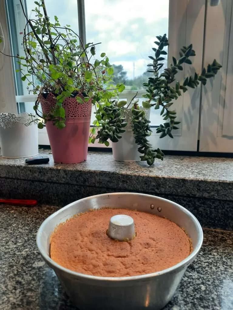 Um bolo de laranja caseiro e fofinho, acabado de cozer e decorado com raspa de laranja fresca.