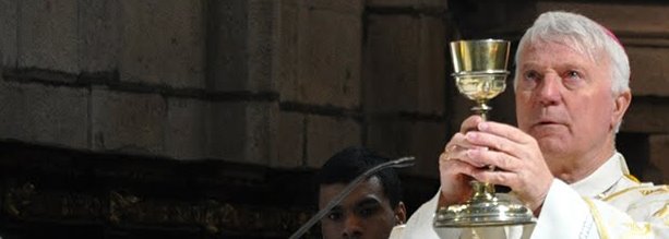 Bispo da Guarda: Saudação pelo novo bispo de Viseu