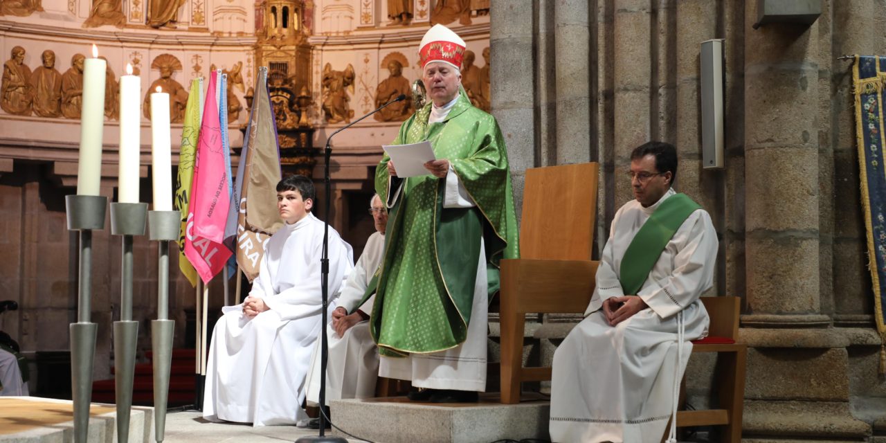Bispo da Guarda: preparação próxima da ordenação de d. António Luciano