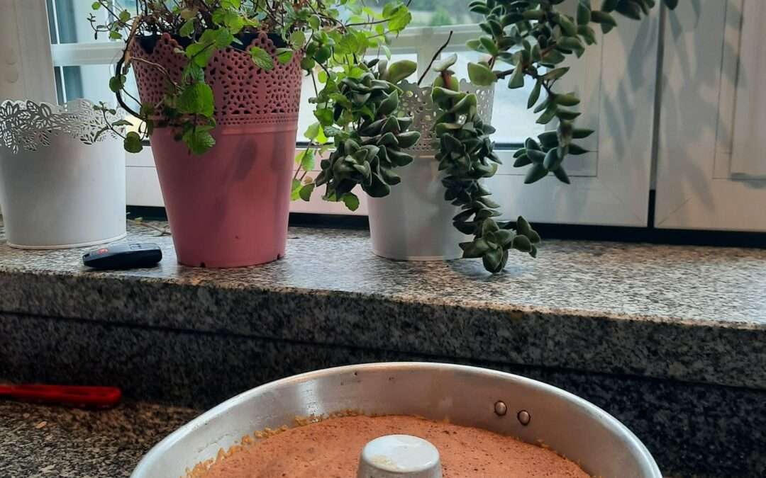 Receitas cá de casa: bolo de laranja